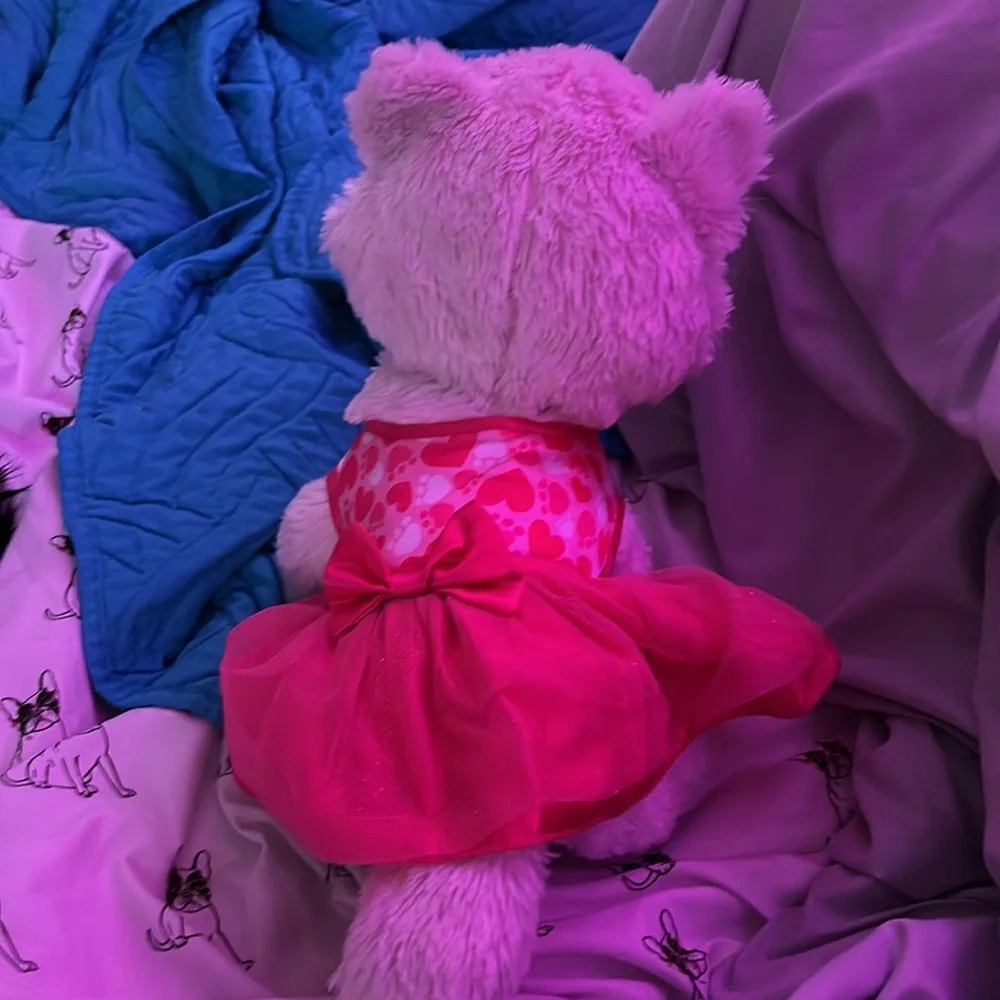 Build a Bear fox with dress - Picture 2 of 3